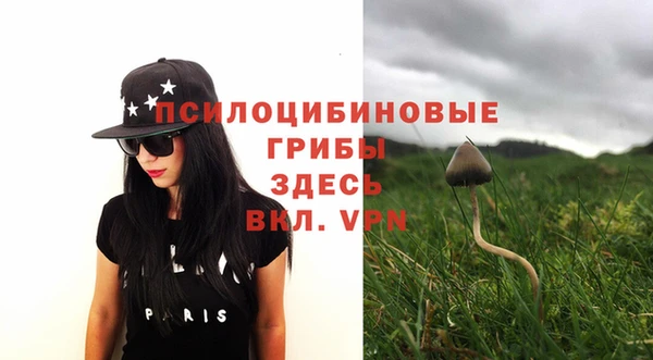прущие крисы Коряжма