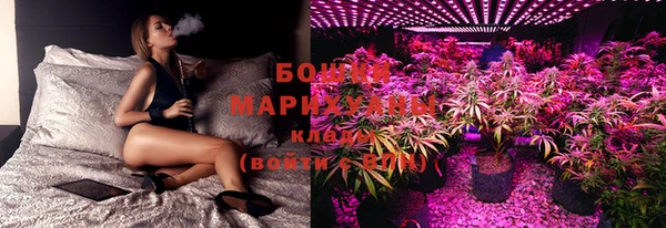 прущие крисы Коряжма