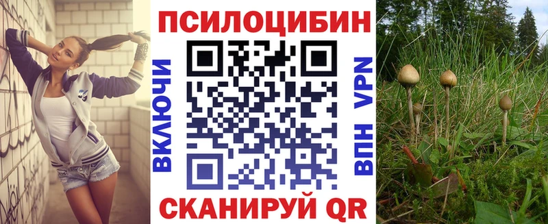 Купить закладки  Качканар  Галлюциногенные грибы Psilocybe 